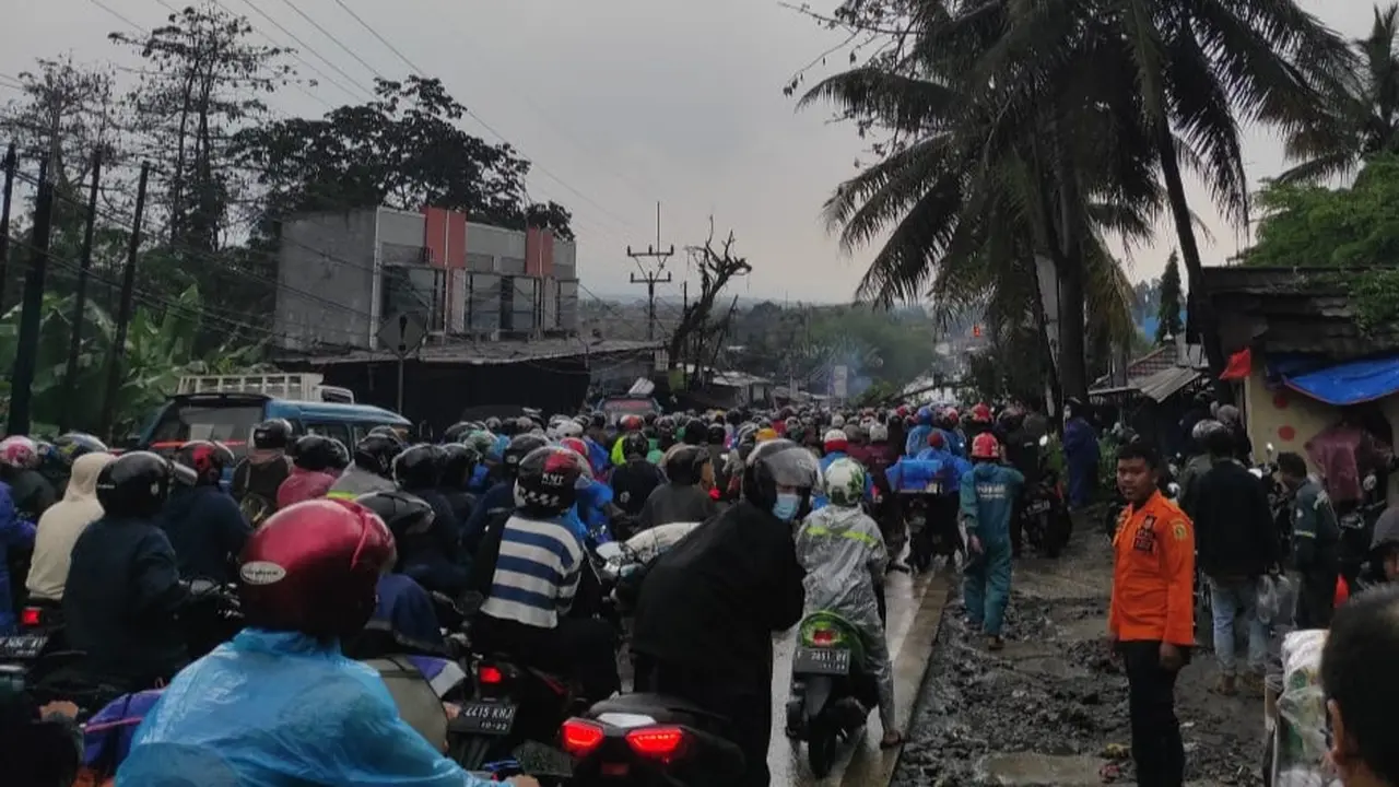 Sebuah pohon besar tumbang di Jalan Raya Bogor-Sukabumi.
