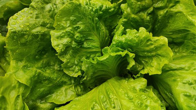 Manfaat Luar Biasa Sawi untuk Kecantikan dan Kesehatan, Termasuk Menurunkan Kolesterol