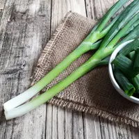 Daun bawang./Copyright shutterstock.com/g/Unwanus