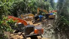 24 Warga Asing Terjerat Penambangan Emas Ilegal Gunung Botak