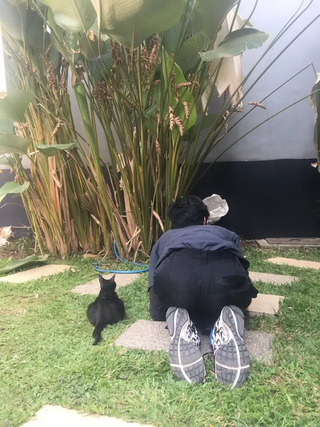 5 Potret Kelakuan Manusia Tiru Pose Kucing Ini Bikin Ketawa