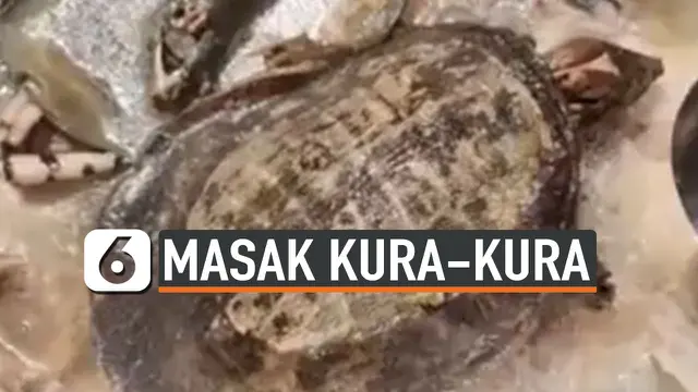 THUMBNAIL kura-kura