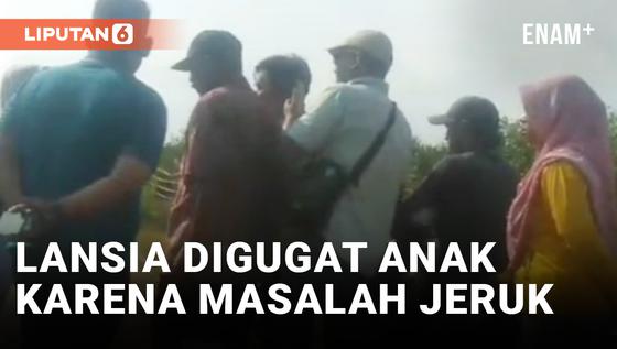 VIDEO: Perkara Kebun Jeruk, Ibu di Jember Digugat Anak Kandung