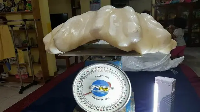 Mutiara raksasa (0)