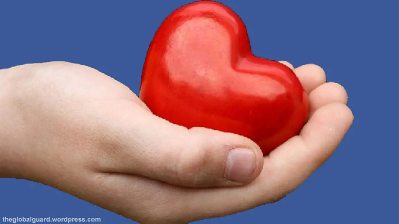 donor-organ130215b.jpg