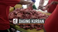 Panitia kurban Masjid Istiqlal menggunakan besek untuk membungkus daging kurban yang kan dibagikan kepada warga. Besek-besek tersebut didatangkan dari Tasikmalaya. Karena besek tidak cukup panitia menggunakan plastik ramah lingkungan.