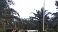 Detik-detik 15 WN China Keroyok TNI Pakai Parang hingga Alat Kejut Listrik
