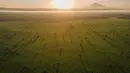Foto udara pemandangan sawah saat matahari terbit di Samahani, Provinsi Aceh, Jumat, 24 Juli 2026. (AFP/ Chaideer Mahyuddin)