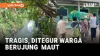 Seorang siswa SMP di Palembang, tewas setelah terjatuh ke dalam parit di belakang sekolah pada Kamis (6/11) siang. Insiden diduga bermula ketika korban dan teman-temannya bermain di luar sekolah saat jam istirahat, lalu panik setelah ditegur warga ya...
