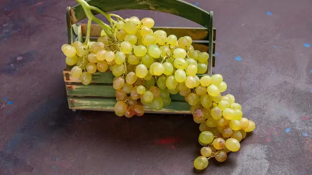 Mengurangi Kadar Kolesterol