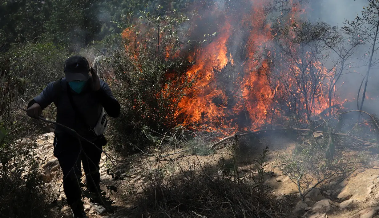 Seorang relawan berupaya memadamkan kebakaran rimba di Bukit San Marcos, wilayah munisipalitas Villa de Leyva, Departemen Boyacá, Kolombia, pada 20 September 2026.(LUIS LIZARAZO / AFP)