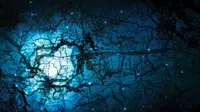 What is Dark Energy: The Force of Universe Expansion and the Big Crunch Scenario