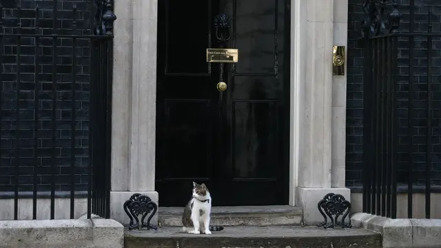 20160713-Larry, Kucing Berstatus PNS Penghuni Kediaman Dinas PM Inggris-London