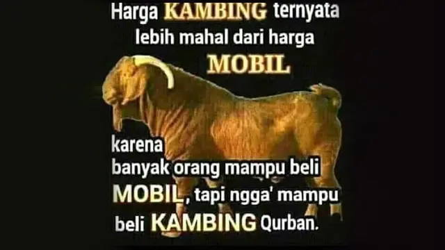 [Bintang] Idul Adha 2018: Ini Sederet Meme Hewan Kurban Paling Lucu yang Bikin Ngakak