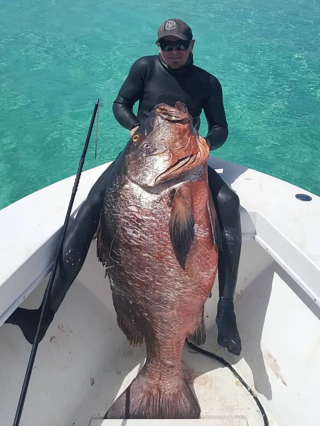 6 Potret Pemancing Dapat Ikan Lebih Besar dari Tubuhnya Ini Bikin Melongo
