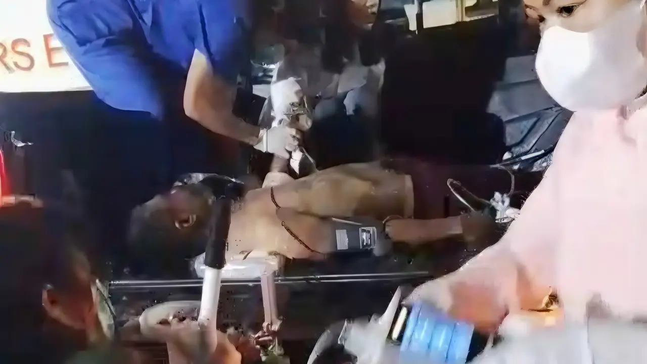 Polisi hutan bernama Padayya meninggal saat padamkan karhutla