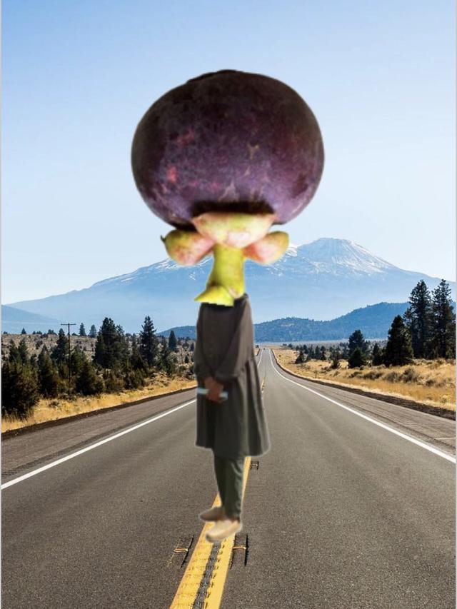 Wanita Ini Minta Latar Fotonya Diedit dengan Pohon Manggis, 7 Hasilnya Bikin Geleng Kepala