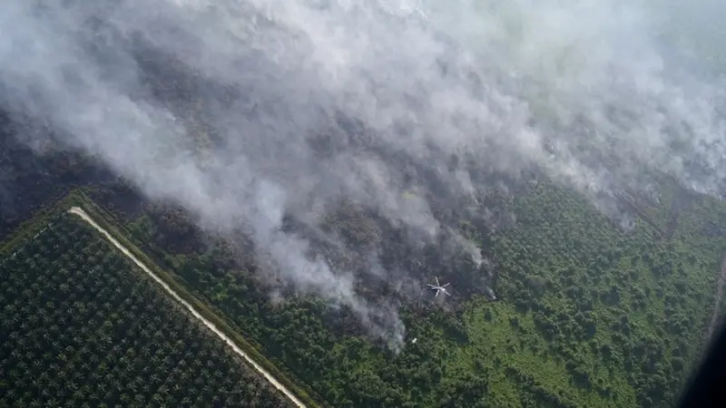 Pantauan udara kebakaran lahan yang dilakukan Satgas Karhutla Riau.