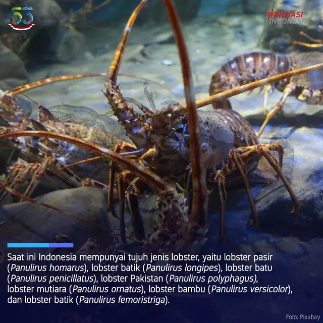 Lobster.