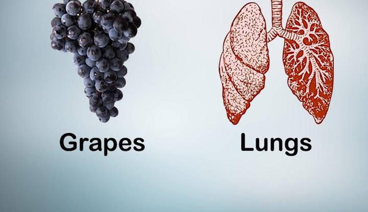 Sayur & Buah yang Bentuknya Mirip Organ Tubuh ...