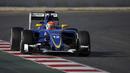Felipe Nasr mencatat waktu terbaiknya adalah 1m25,493s dari 103 lap pada sesi tes pramusim kedua di Sirkuit Catalunya, Barcelona, selasa (2/3/2016) malam WIB.  (REUTERS/Sergio Perez)
