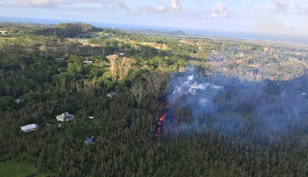 Lava yang ditumpahkan dari letusan gunung Kilaueaa menghanguskan sejumlah pohon di dekat kota Pahoa di Big Island di Hawaii, (3/5). Lava menjalar ke pemukiman warga di dekat gunung tersebut. (U.S. Geological Survey via AP)