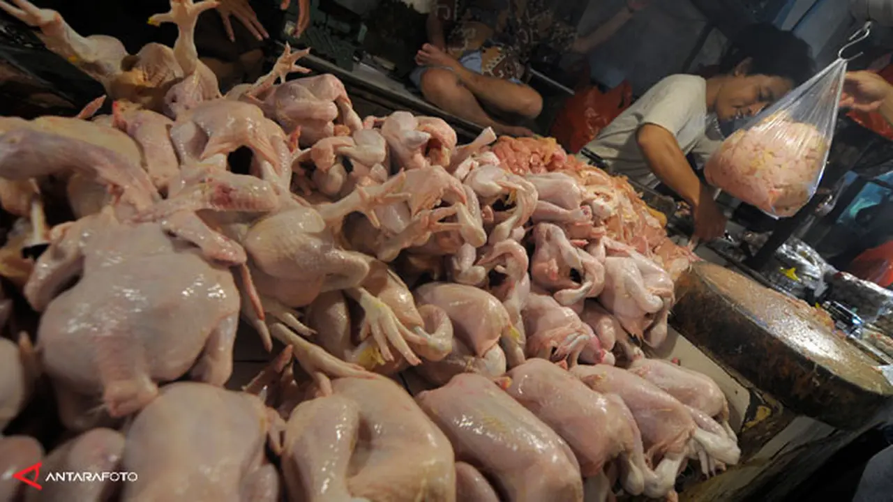 daging-ayam-130926a.jpg