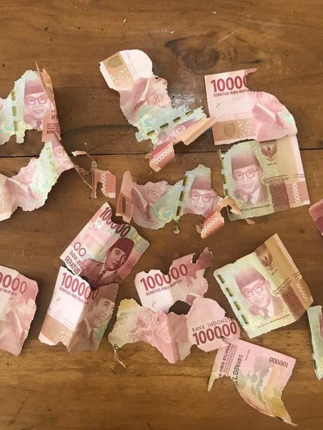 6 Momen Apes Uang Tabungan Dimakan Rayap Ini Bikin Nyesek Banget