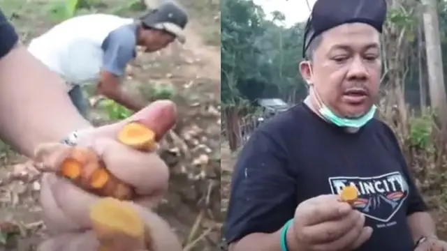 6 Potret Kegiatan Fahri Hamzah Usai Tak Lagi di DPR, Potong Kayu dan Panen Singkong