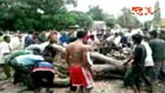 liputan6