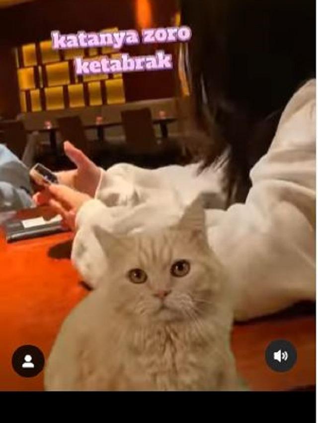 Denny Sumargo - Olivia Allan (Foto: Instagram/@sumargodenny)