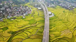 Foto hasil bidikan dari udara yang diabadikan pada 2 September 2020 ini menunjukkan petak-petak sawah di Desa Shanghua di Kota Gaoniang, Wilayah Tianzhu, Prefektur Otonom Etnis Miao dan Dong Qiandongnan, Provinsi Guizhou, China barat daya. (Xinhua/Yang Wenbin)
