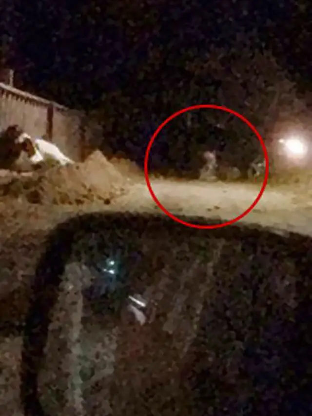 [Bintang] Hampir Sejam Taklukkan Harimau, Ternyata Polisi Ini Kecele, Kenapa?