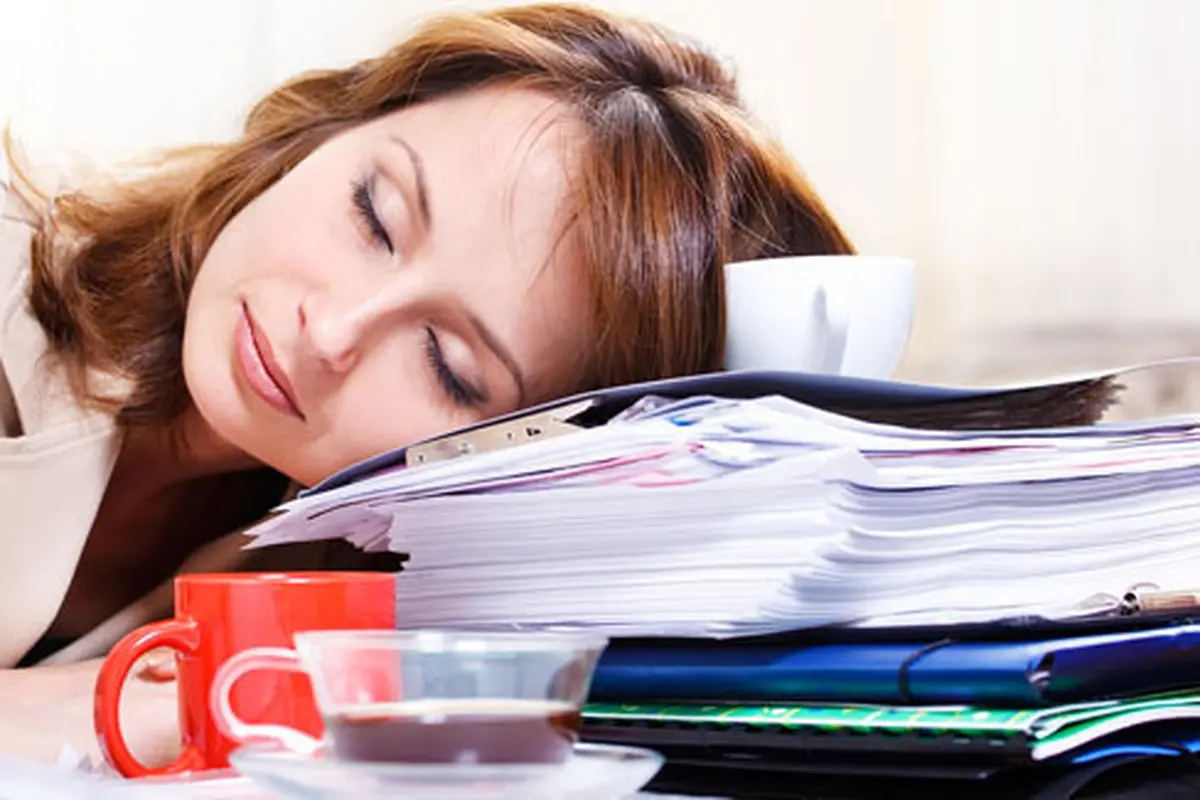 Foto: Copyright Shutterstock.com