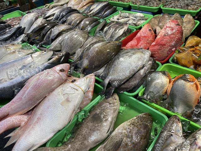 Cuaca Ekstrem Tekan Pasokan Ikan Laut