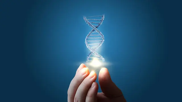 Tes DNA Kunci Menciptakan Generasi Sempurna (Natali miss/Shutterstock)