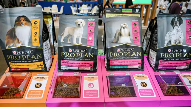 Kesehatan Anabul Dilihat dari Sistem Pencernaan, Ini Pentingnya Kandungan Probiotik Makanan Hewan Peliharaan