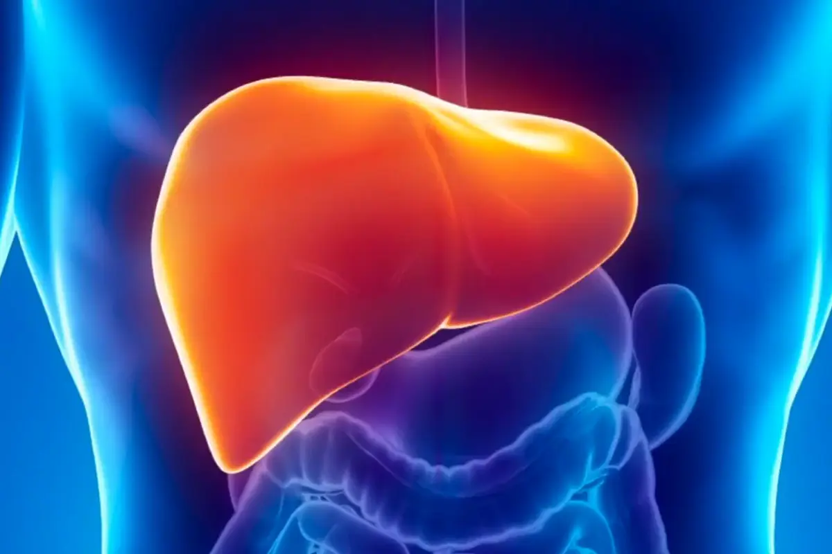 5 Fakta tentang Liver yang Harus Kamu Tahu Demi Kesehatan