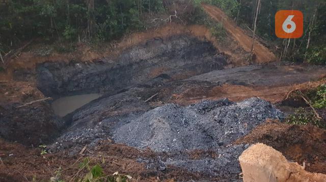 Lokasi bekas galian tambang batu bara ilegal di kawasan jalan poros Labanan–Kelay dalam area konsesi PT Berau Coal.