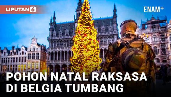 VIDEO: Pohon Natal Raksasa di Belgia Tumbang, Satu Lansia Tewas Tertimpa