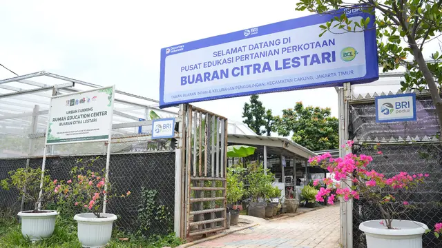 Intip Kisah Inspiratif KWT Buaran Citra Lestari Bersama BRInita