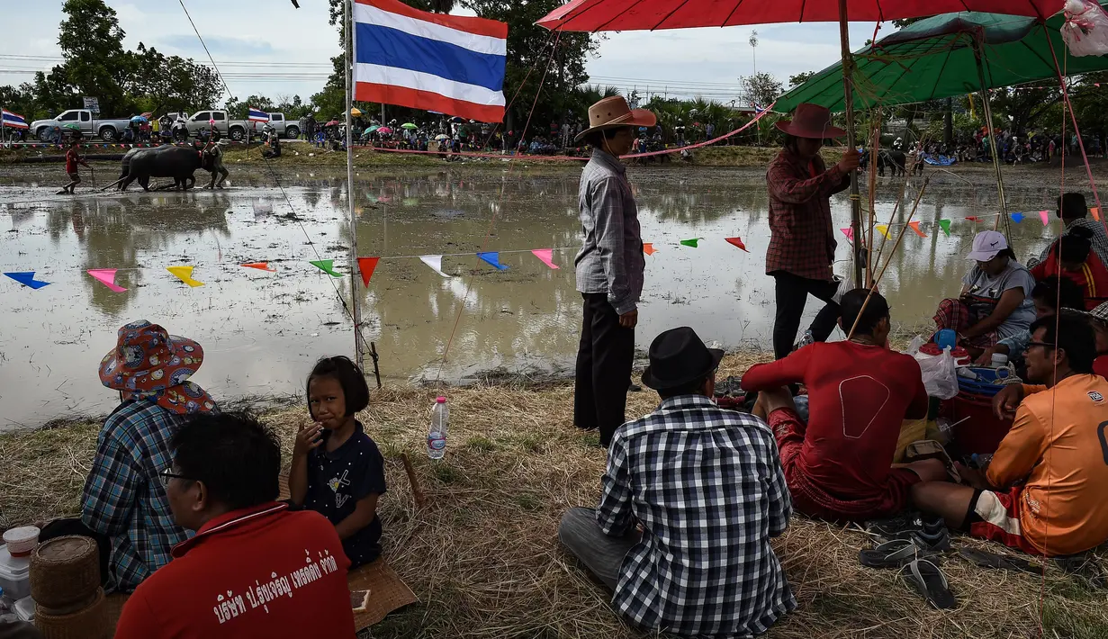 Penduduk setempat menunggu dimulainya pada festival lomba balap kerbau di Chonburi, Minggu (16/7). Festival tahunan di Thailand ini merupakan tradisi untuk menyambut datangnya musim panen padi. (LILLIAN SUWANRUMPHA / AFP)