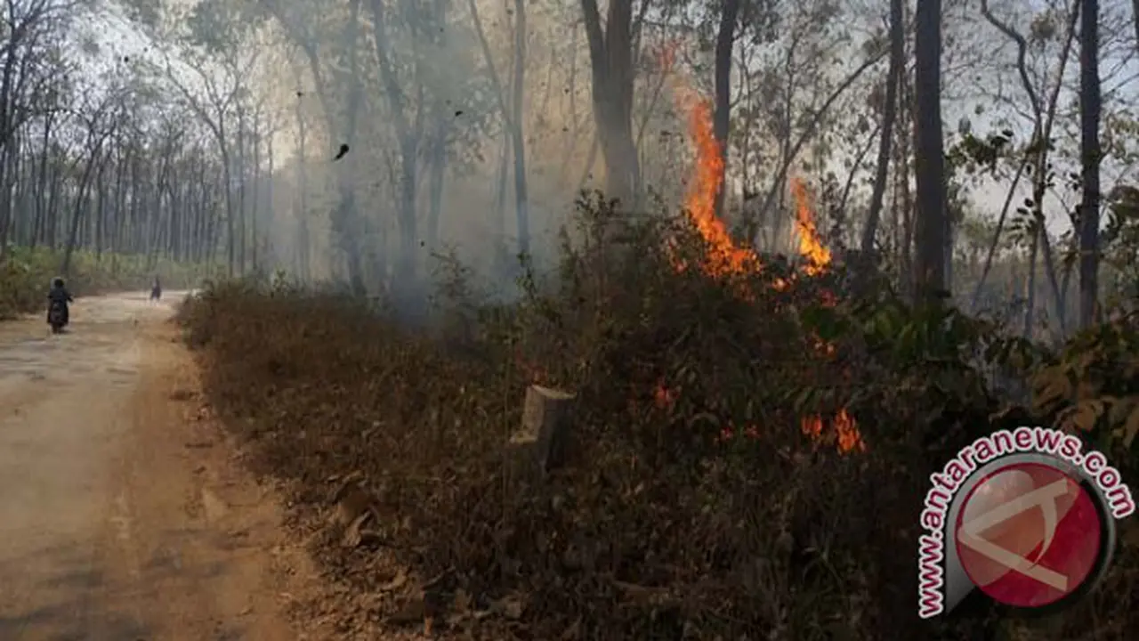 Hutan Bukit Soeharto di Samarinda Terbakar