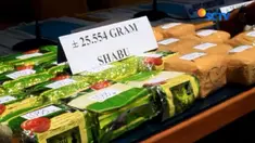 BNN berhasil memgungkap peredaran narkoba dari Malaysia yang akan diedarkan ke Sumatera dan Jawa.