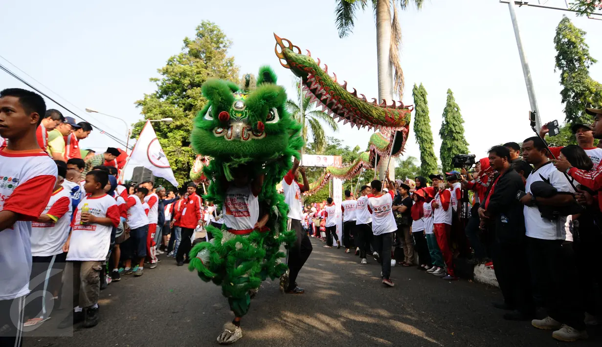  Peserta memainkan kesenian tradisional barongsai saat Kirab Kebangsaan Indonesia Raya di Cibinong, Kab Bogor, Minggu (14/5). Kirab diikuti puluhan organisasi kepemudaan se Kabupaten Bogor. (Liputan6.com/Helmi Fithriansyah)
