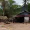 150 Warga Mengungsi Akibat Tanggul Sungai Jebol di Tapanuli Tengah