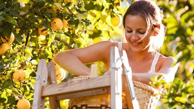 Photo: Copyright sarinarusso.com