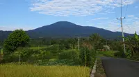 Gunung Daun di Bengkulu. (Dok: Gunung Bagging)
