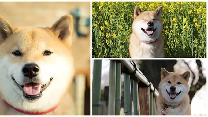 (c) Instagram/marutaro