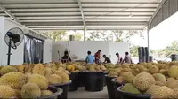 Durian TRL. Dok: Adrian Yoong